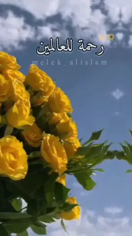 #اللهم_صلي_على_نبينا_محمد #muslim #viral #foryoupage #fyp>