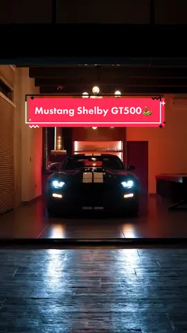 Mustang Shelby GT500 🐍 #fyp  #parati 