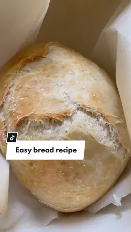 I am NEW to the bread making world. Just picked up this hobby a few weeks ago so I’m not a pro! But I love learning and it’s so fun🤎🍞 #easybreadrecipes #easybreadmaking #breadmakingtutorial #breadbaking #artisanbread #homesteadtiktok #beginnerhomesteader 
