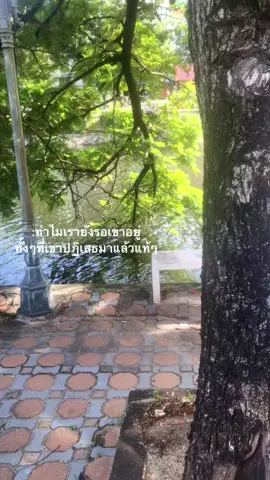 ยัง รัก หรือ ยัง ลืมไม่ได้ #ฟีด #เธรดเศร้า @TikTok 