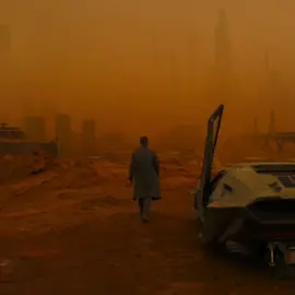 Blade Runner 2049 #yp #bladerunner2049 #bladerunner #ryangosling #anadearmas #edit #foryoupage