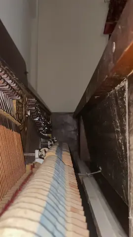 Avril 14 (yes my piano is out of tune) #avril14 #aphextwin #aphextwinmoment #oldpiano #outoftunepiano #midwesternemo #shoegaze #smallartist #fypシ   