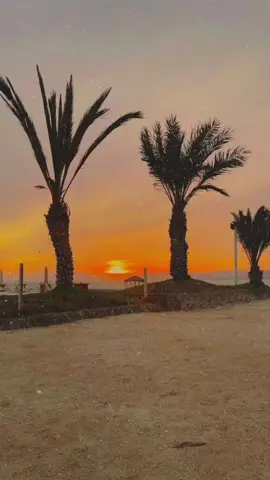 Estamos bien ✨🤍🦋⚡️ . . . #paracas #beach #estamosbien #🐰 #atardecer #sunset #mar #playa #vibras #happy #badbunnypr #badbunnyedits #melevantecontenta #positivevibes #conejomalo 