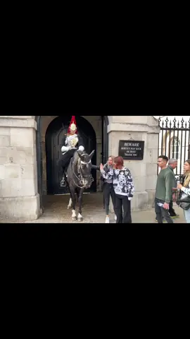 King’s Guards Dealing with Tourists Mayhems #foryou #horseguardsparade #king #guards #foryoupage #foryourpage #viral #trending #uk #london 
