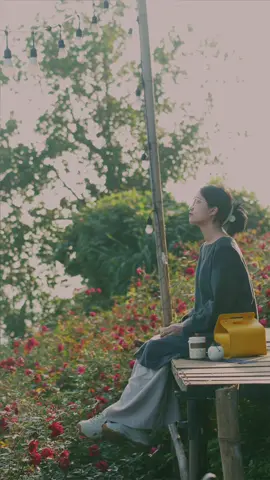 Uống trà ở vườn hồng như này chỉ muốn già sớm thôi, lưu lại hôm nào tới Đà Nẵng tui dẫn bạn đi. #tieunuonguongtra #binhyen 