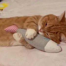 ☺️
