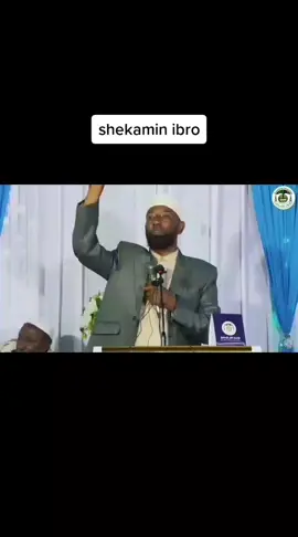 shek amin ibro #ormotiktok 