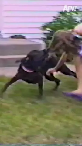 Remember when these fails aired on AFV?? They’re from as early as season 3! 📹 #throwback #flashbackfriday #funnyvideos #vintage #90s #90skids #nostalgia 
