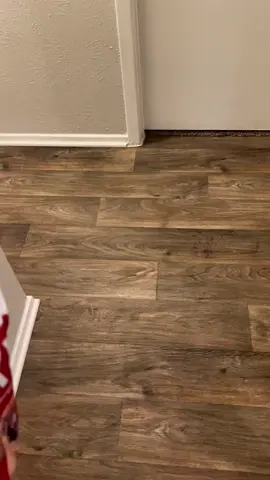 Precious doing the 2 step for treats! #yorkiesoftiktok  #yorkies  #treatsplease #walkingon2legs  
