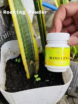 Available now MYGARDENINGSHOP ROOTING POWDER/ROOTING LIQUID #urbangardening  #growthfast  #fdms  #organicproduct  #stimulant 