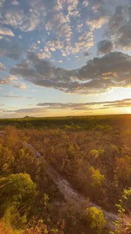 O som do fim de tarde no Jalapão! #jalapao #visiteotocantiins #pordosol #cerrado #tocantins 