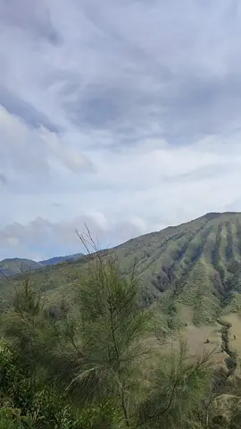 Memandang bromo dari bawah e Hillside #bromo #njemplangbromo #hillside 