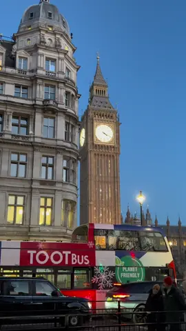 #foryou #horseguardsparade #king #guards #foryoupage #foryourpage #viral #trending #uk  #london 