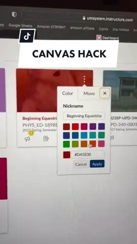 please tell me someone else is this picky as well. #canvas #canvashack #collegecanvas #ocd #typea #colorcoding #orginization #aesthetic #collegestudy #collegestudent #satisfyingorganization 