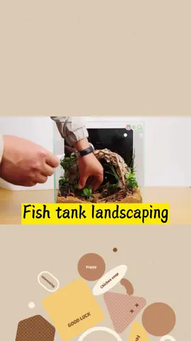 Special design aquascape, do you like it? #aqua #aquarium #aquariumhobby #aquadecor #treework #artistsoftiktok #petlife #ornaments #aquascape #fyp