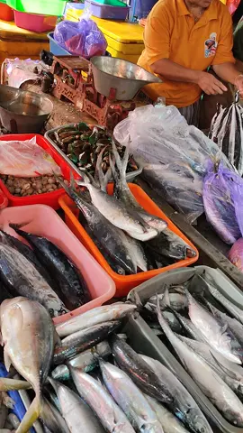 ikan Segar di Pasar Ikan TPI Pantai Jetis Nusawungu Cilacap #ikansegar  #makanikanmakincerdas #ikanlautsegar #ikanlautindonesia 