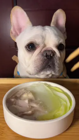 Today, I ate meat again, but it was delicious rabbit thigh meat. We invite you all to eat        #dog #frenchbulldog #frenchie #cutedog #labrador #pet #feed #eating #food #immersive #Asmr #fyp