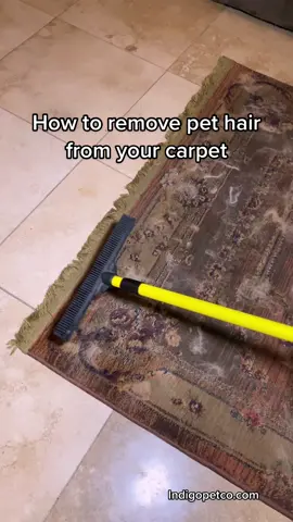 Removing Pet Hair from our Carpet with the indigopetco pet hair removal broom #broom #pethair #cleaning #CleanTok #sweeping #deepclean #carpetclean #carpetscraping 