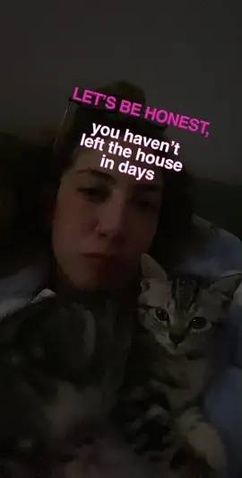🥴🙀 … #catsoftiktok #kittensoftiktok 