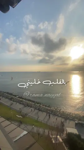 بالقلب خليني 🤍✨ #fyp #story #instagramstories #foryou #fypシ゚viral #اغاني #اغاني_رومانسية #حركةالاكسبلور🥰 #الوطن_العربي #ValentinesDay #amazigh #تونس🇹🇳 #المغرب🇲🇦 #سوريا #فلسطين🇵🇸 #الجزائر🇩🇿 #explore #بالقلب #بالقلب_خليني #سما #فلوريا #فلوريا_تركيا_اسطنبول 