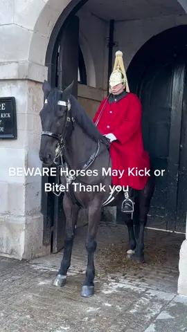 #foryou #horseguardsparade #king #guards #foryoupage #foryourpage #viral #trending #uk #london #horseriding 