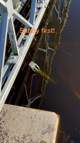 #supersized #alligator #Floridaalligator #outlet #inwater #hazard #electrical #shock #gigantic #gator #caution #safety #inspector #safetyfirst #florida #exploreflorida #roamflorida #yikes 