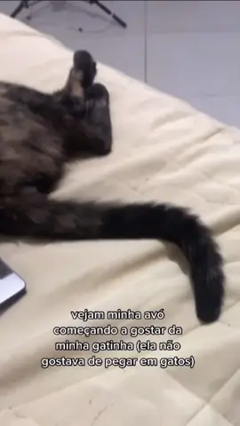 Vídeo mais fofo de hoje 
