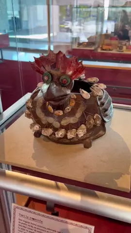 La famosa “gallina loca teotihuacana”, encontrada en la Ventilla en el año de 1964, cerca de la puerta 1 de la z.a. de Teotihuacan. Al parecer esta vasija de cerámica estucada con piezas de piedra verde (noten los ojos), conchas y spondylus representa una codorniz. #teotihuacan #teotihuacanpyramids #prehispanico #museums #museosdelmundo #museos #museosdemexico #cdmx🇲🇽 #cdmxtiktok #tik_tok #mexicolindoyquerido #tiktokmexico #culturetiktok #cultura #visitamexico #prehispanic #nativetiktok 