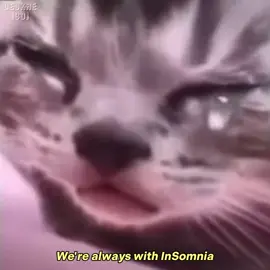 real footage of InSomnias 🤘😭 #dreamcatcher #reason #kpop #kpopfyp #fyp #fypシ #rock 