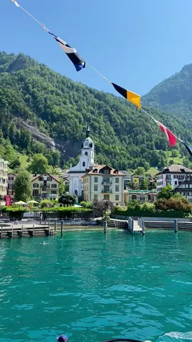 Switzerland 🇨🇭#swissbeautiful #switzerlandnature #lakelucerne 
