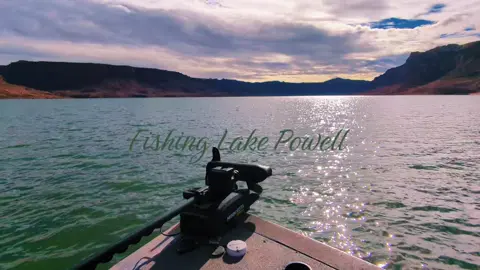 Fishing at Lake Powell in January with #dungeefishing 