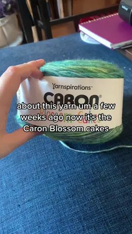I have absolutely ZERO idea what I’m doing and I’m simply going on instinct so we’ll see what happens #crochet #crochettok #crochettiktok #crochetersoftiktok #caronyarncake 