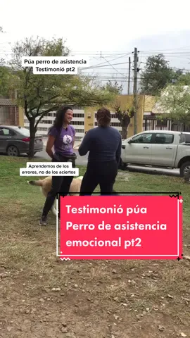 Aprendemos de los errores, no de los aciertos. Gracias por esa confianza! #comoeducoamiperro #perrodetrabajo #perrosdeasistenciaparaniñosconautismo #perrodeasistenciaemocional #lenguajecanino 