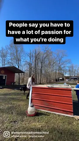 I think I was born to do this. To raise a family and work at home. I’ve never in life felt as much passion towards something in life as I do this. It’s really no describing it and I get emotional just thinking about it. I have wanted it for as long as I can remember. My grandmother grew up on a farm and she couldn’t get off the farm fast enough. She married young and never looked back. I can remember as a child her telling me stories of farm life, getting up early milking the cow. I always said I’d love that life. She always told me “no you wouldn’t”. I could never fathom why she wanted to leave that lifestyle. I have always imagined what it would be like… and yes it is backbreaking work but God knows it’s beyond rewarding. I’m right where He intended me to be, and I am so thankful for His blessings.  #h#homesteadingh#homesteadlifeh#homesteadh#homesteadmamaf#farmhers#selfsustainablef#farmlivingg#goatlifeh#homeschoolh#homemakerh#homesteaderh#homesteadtiktokh#homeateadtokfarmtokkitchen 