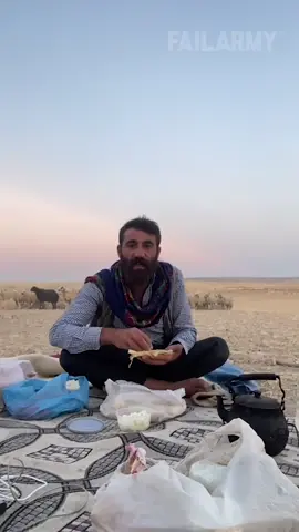 It took us 3 days to make that potato salad! 🐑🤣#FailArmy..#picnic #fail #funny #funnyfail