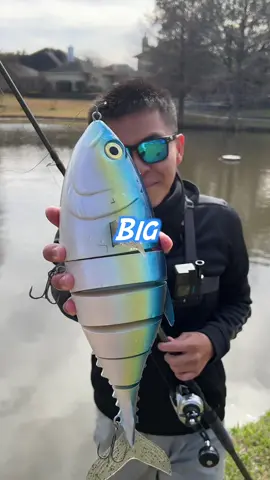 MOST RIDICULOUS LURE EVER❗️#bass #bassfishing #fish #swimbait #fishing #Outdoors #lure #takeoverseason #bait 