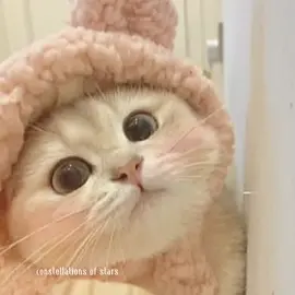 เพลงอังกฤษน่ารักๆ😻!  #ฟีดเถอะขอร้อง #CapCut 