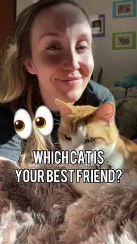 Tag your bestie #bestiecheck #bestie #cats #whichoneareyou #residentcat 