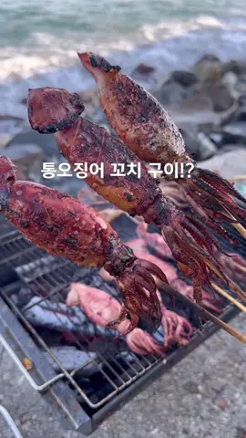 #통오징어  #꼬치구이 !? 아 정말 촬영하다 너무 맛있어서 자꾸 구워먹은 #꼬치 입니다 꼭 한번 드셔보세요 😋 #캠핑 #술안주 #간식 으로 딱!! #틱톡푸드 #틱톡순삭 #틱톡먹방 #캠핑요리 #추천 #추천떠라 #추천뜨게해주세요 #오징어 #오징어푸드 #추천떠라_추천 #간단요리 #캠핑요리추천 #먹방 #야외먹방 #화로 #화로구이 