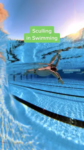 Sculling for swimmers is a technique that helps swimmers build strength and improve form. What is the science behind sculling? Sculling is a technique that allows swimmers to “feel the water,” by focusing on the pitch of the hands in the water. This is similar to sculling when rowing. When the paddle is in the water, it drives, stops, and turns the boat. The pitch is what determines where and how fast you go. When swimming, the hand acts like the paddle. Sculling focuses on the pitch of your paddle. The pitch of the hand gives swimmers a sense of the water pressure. Coaches and swimmers use sculling drills to train the hands and the body to recognize the pressure. Sculling drills assist in training swimmers to feel the the pressure of the water and to evaluate the necessary changes to prevent fatigue, tension, and poor stroke mechanics. What is Sculling? Sculling is a back-and-forth motion with your hands, like you’re drawing a figure eight. Your elbows should stay relaxed, and you should have minimal shoulder movement. Keep your palms slightly oriented in the direction that you would like to travel as you apply pressure to the water. The most common mistake people make when sculling is making a circular motion similar to a small breaststroke pull instead of the figure eight. #Swimacademy #swimusa #swimsmarter #swimtips #swimmingworld #butterflyswimming #swimrace #poolswim #swimon #swimmingsports #swimstrong #swimwod #swimeveryday #swimhappy #swimfriends #swimmingforlife #swimfam #swimfamily #swimfan 