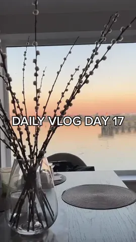 Daily vlog day 17 🫶🏼 #dayinthelife #dailyvlog #dailyvlogs #spendthedaywithme #DailyRoutine #grwm #makeupartist 