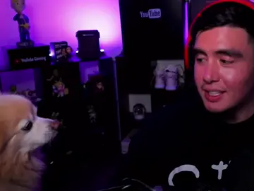 R.I.P Sakura, I originally wasn’t gonna make a Tiktok, but after hearing this news I had to say something about it. I’m so sorry for Jay and I hope he sees Sakura again in another lifetime. #sakura #rip #kubz #scouts #kubzscouts #gloom #coryxkenshin 
