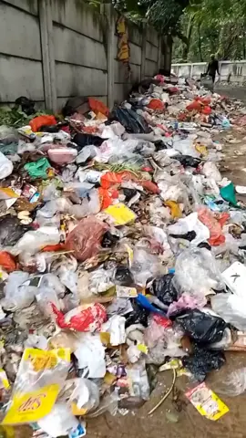 Dampak Sampah Plastik, Mulai Dari Kesehatan Hingga Tercemarnya Lingkungan. #sampahplastik #paperbag #taskertas #jogja24jam #fyp 
