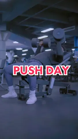 LIGHT DAY SAVE FOR LATER 