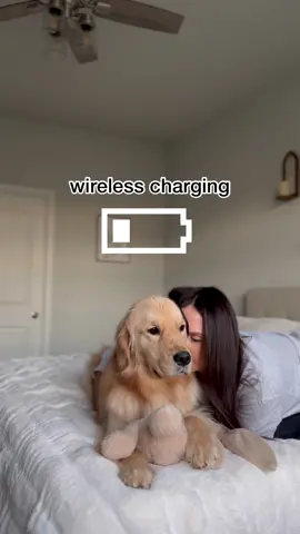 My dog charges my battery, can you relate 🥹 #dogsoftiktok #doglover #goldenretriever #recharge 