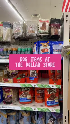 What dog items you can find at your local dollar store! #dollartreefinds #dollarstore #doghaul 