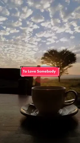 To Love Somebody #foryou #tolovesomebody #liriklagu #nostalgia #fyp #fypシ゚viral #xyzbca 
