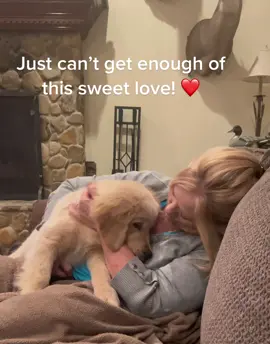 Having Koop makes it easier.  We miss our golden Cooper so much we lost in Sept. #puppy #goldenpuppy #puppylove #happy #hugs #loveofmylife #dogsoftiktok #foryourpage #fyp #follow