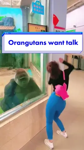 What does the orangutan want to say?#funny #cute #pet #foryou #fyp #catlove #TikTok