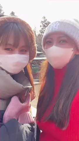 弟家族と鹽竈神社に初詣🎍#バイク女子 #アラサー女子 #独身女 #初詣 #鹽竈神社 #fyp 